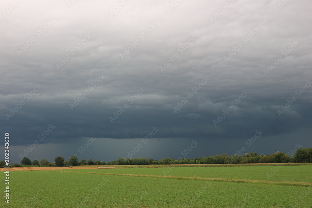 Tempesta Tempesta