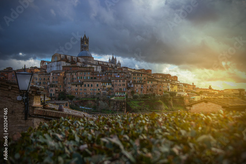 View of Siena in Tuscany Italy as panorama skyline. A panoramic view of the city of Siena in Tuscany in Italy with the cathedral, tower and village.