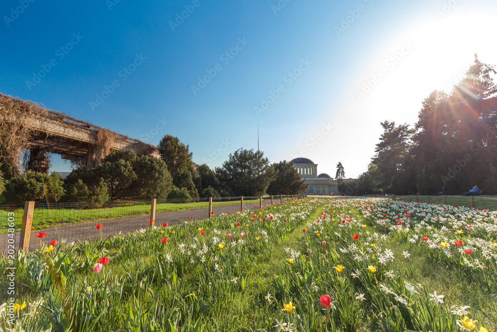 Public park opposite to pergola