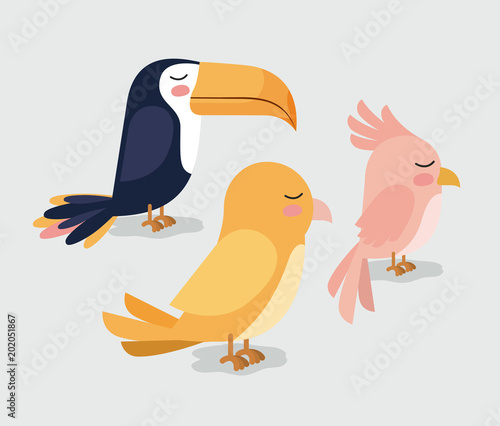 cute group birds animals vector illustration design