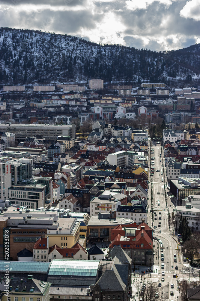 View on Bergen from the hill