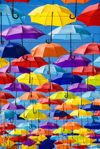 Multicolored umbrellas on the street