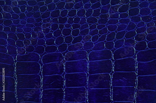 Snake skine leather