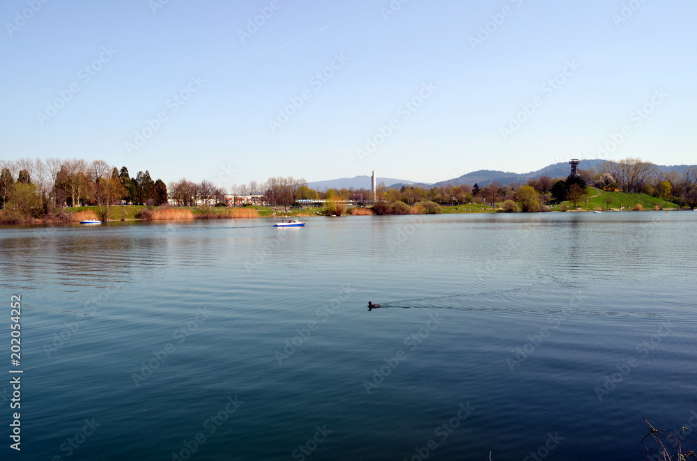Naklejka premium Freiburger Seepark im Frühling