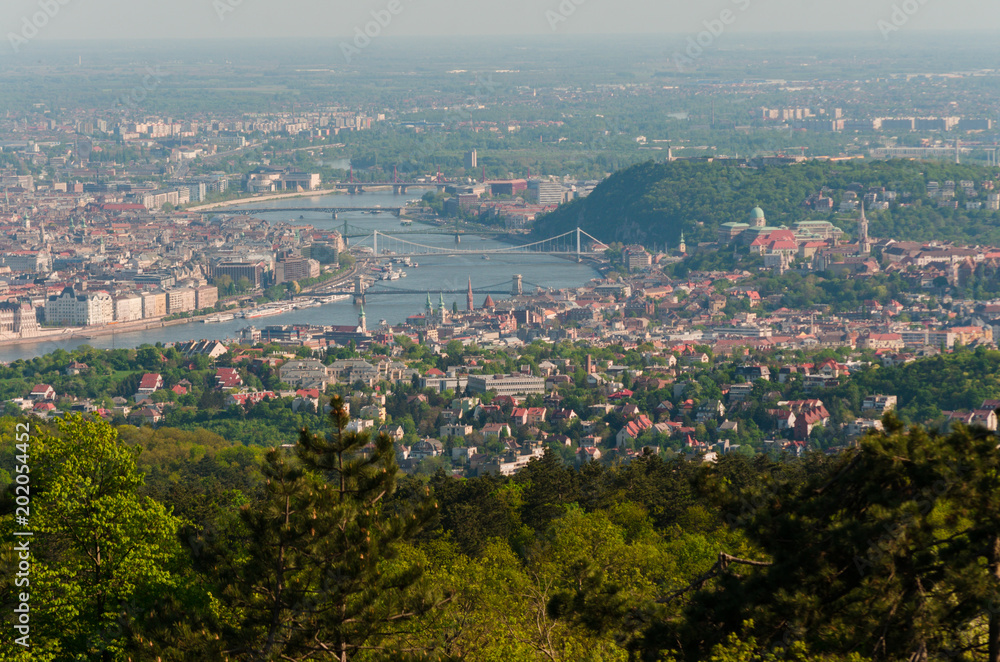 spring green tree landscape of Budapest