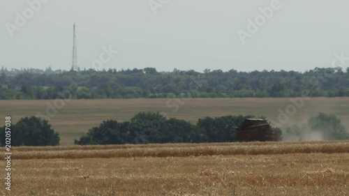 Combine harvesting wheat in field