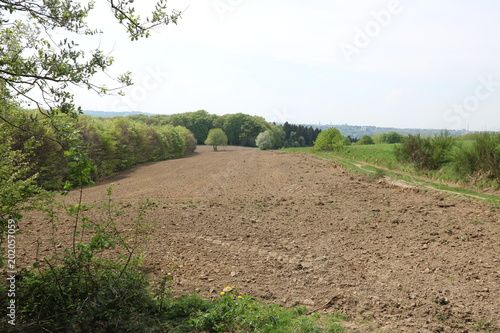  Landschaft mit Ackerland im Frühling 