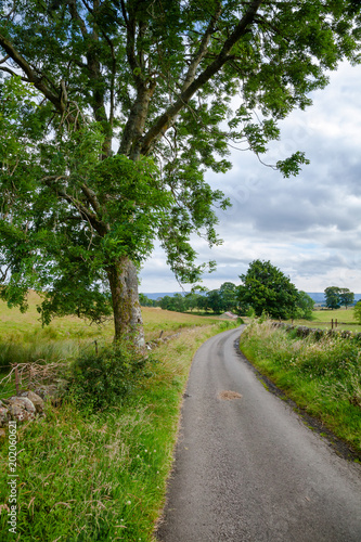 Country road along drystane dyke in rural Scotland UK photo