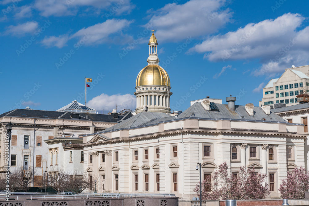 New Jersey Capitol Building in Trenton New Jersey Capitol Building in Trenton