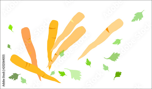 Fresh Organic Carrots