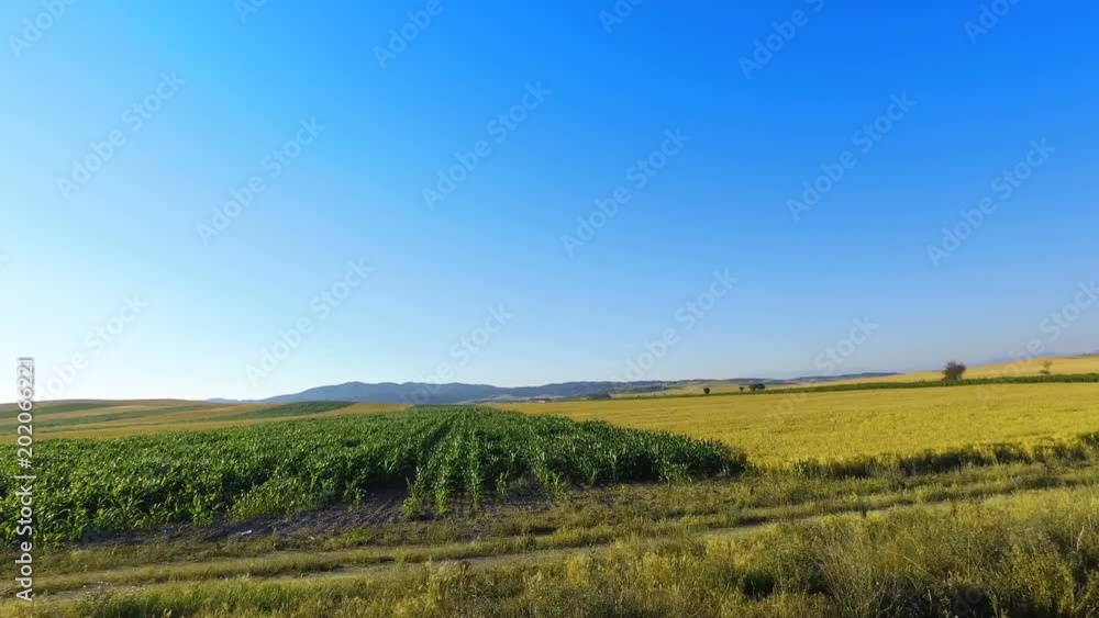 Move along Harvest Field Landscape against Vibrant Blue Sky Move along Harvest Field Landscape against Vibrant Blue Sky