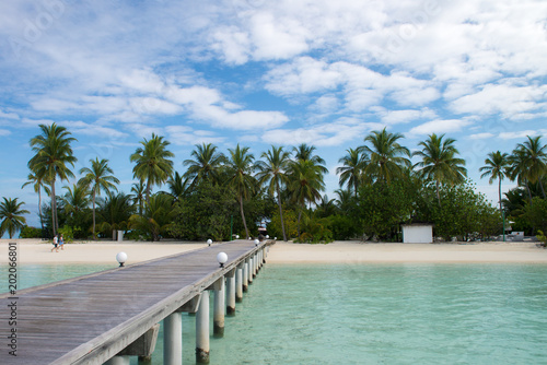 Beautiful tropical Maldives island with beach   sea   and coconut palm tree on blue sky for nature holiday vacation background concept.