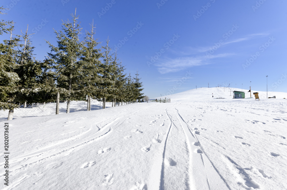 Mountains snow landscape with pine trees in winter in the Alps Mountains snow landscape with pine trees in winter in the Alps