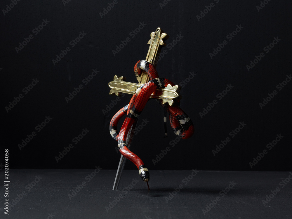 Red snake wrapped around dagger with gold cross handle Stock Photo