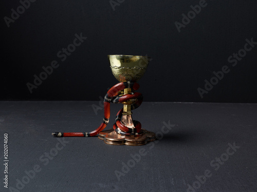 Red snake wrapped around gold chalice photo
