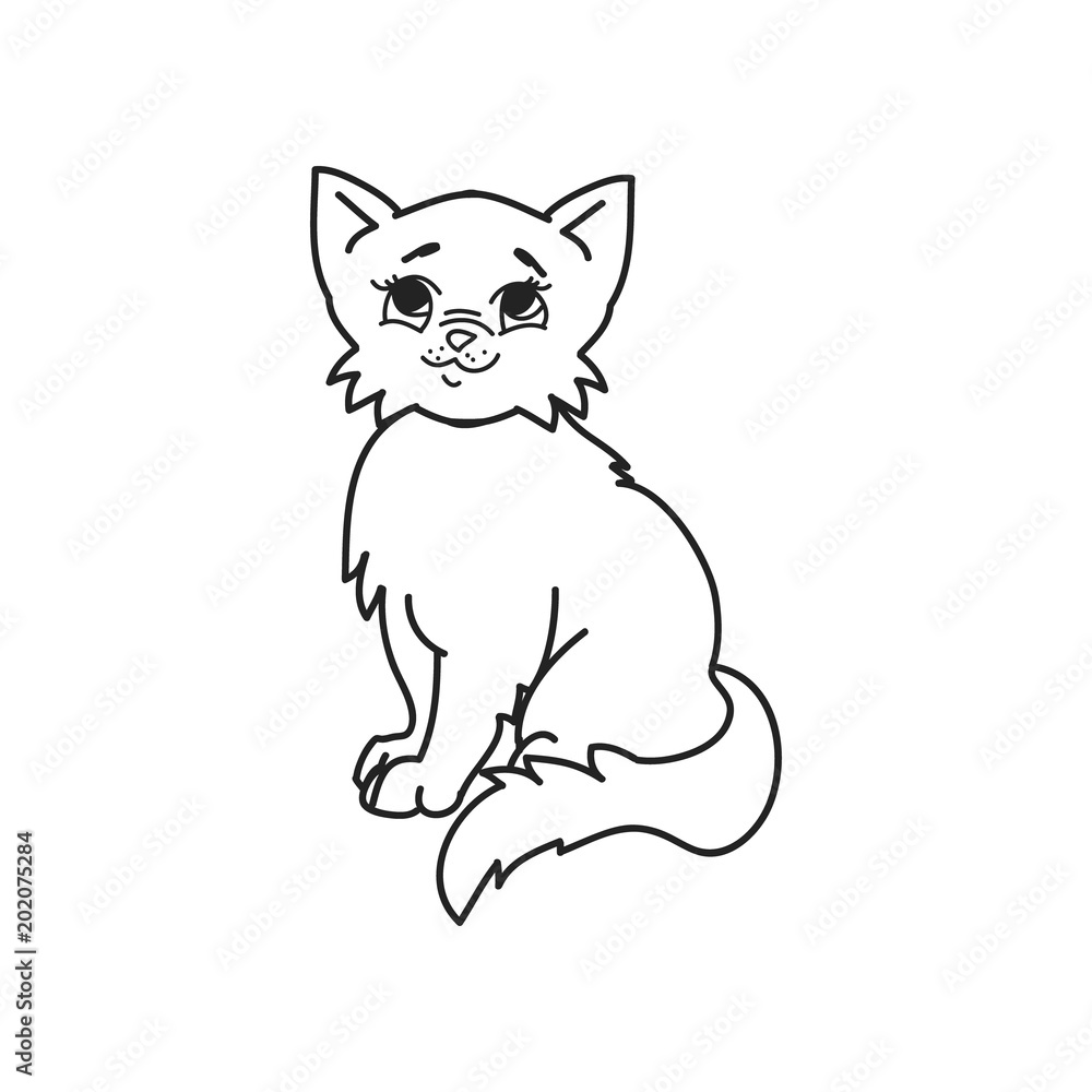Fototapeta premium Furry cat on white background