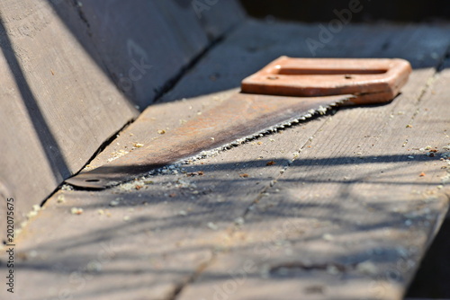 A manual saw on a tree with sawdust lies on a board