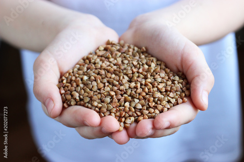 A handful of  buckwheat in the hands of a child. concept of healthy eating.  
