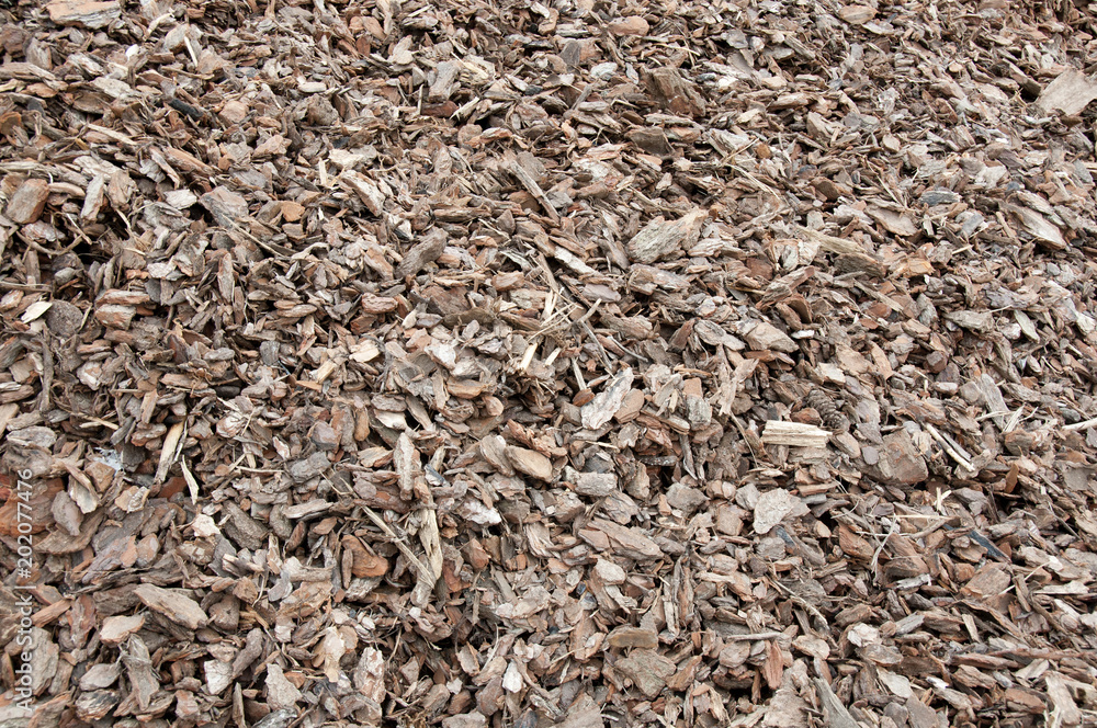 Tree bark, recycling for gardening Tree bark, recycling for gardening