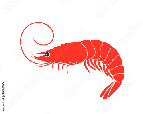 Shrimp Logo. Isolated shrimp on white background