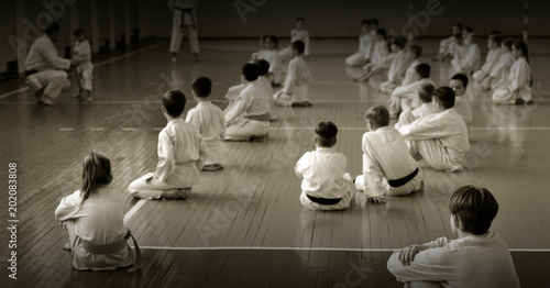 Fototapeta Naklejka Na Ścianę i Meble -  Kids training on karate-do. Black and white.
