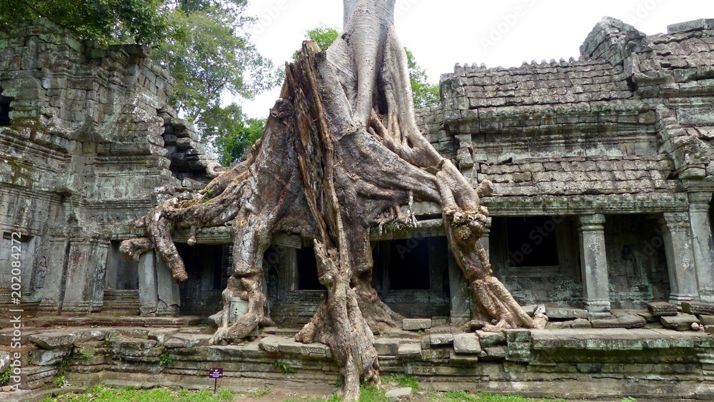 Naklejka premium Khmer Tempel in Angkor, Kambodscha