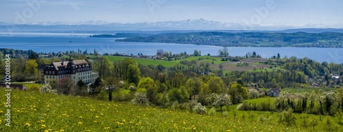 Panorama Blick über den schönen Bodensee mit Alpenblick und blauen Himmel 