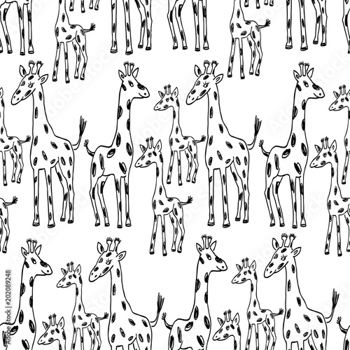 Photography Pattern of the cartoon giraffes