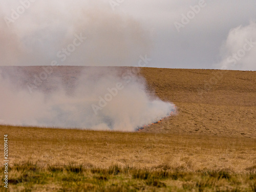 Rapidly advancing moorland grass fire on moors near Belmont, Chorley, Lancashire, UK