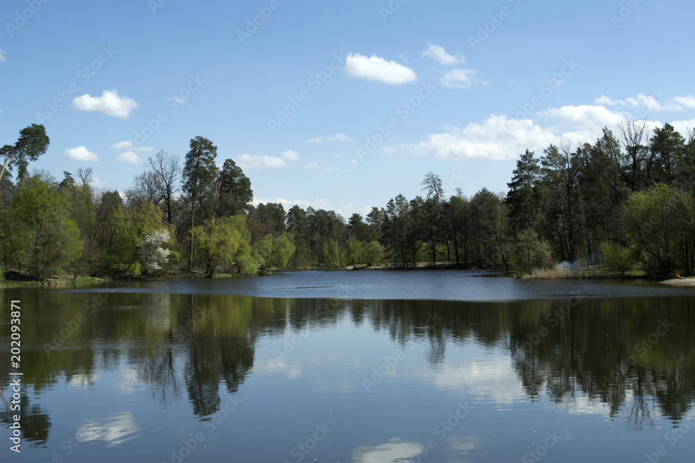 Lake in the forest. Beautiful nature landscape.