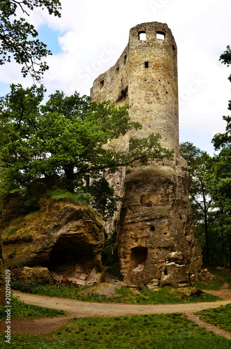 view of the ruins of Valečov castle ruins photo