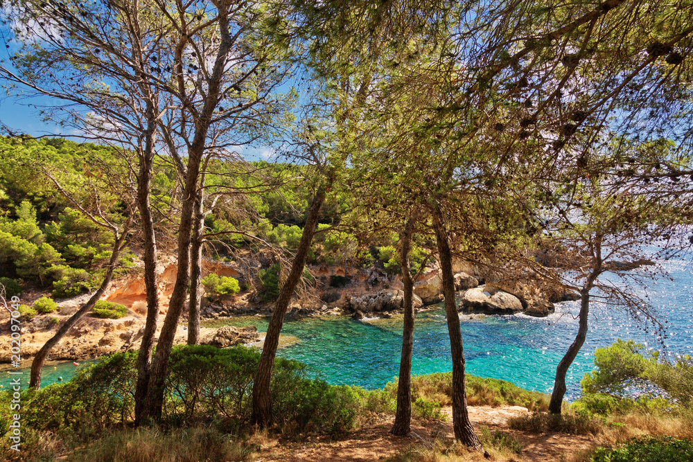 Beautiful bay beach turquoise sea water.Mallorca island Beautiful bay beach turquoise sea water.Mallorca island