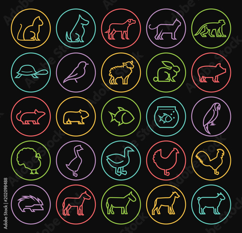 Set of Quality Universal Standard Minimal Simple Color Thin Line Animals on Circles on Black Background 