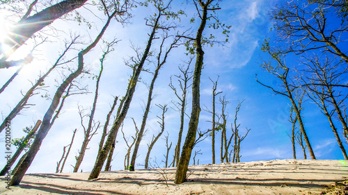 Rabka, National Słowiński parc, Poland