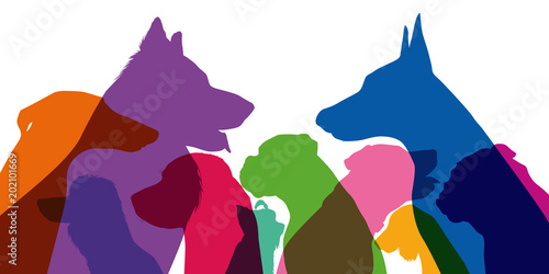 chien - tête - silhouette - profil - race - espèce -animal de compagnie - vue de profil - canin - canidé
