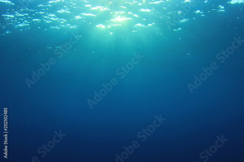 Underwater blue sea