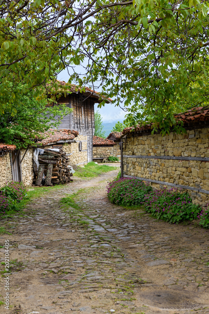 Zheravna, Bulgaria - narrow cobbled road and rustic houses framed in walnut tree (Juglans regia) branches with bigroot cranesbill (Geranium macrorrhizum) along the stone wall Zheravna, Bulgaria - narrow cobbled road and rustic houses framed in walnut tree (Juglans regia) branches with bigroot cranesbill (Geranium macrorrhizum) along the stone wall
