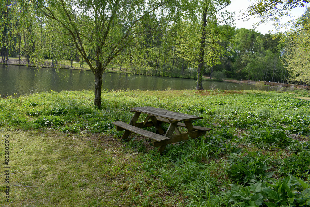 An empty picnic table nestiled in between a couple of willow trees An empty picnic table nestiled in between a couple of willow trees