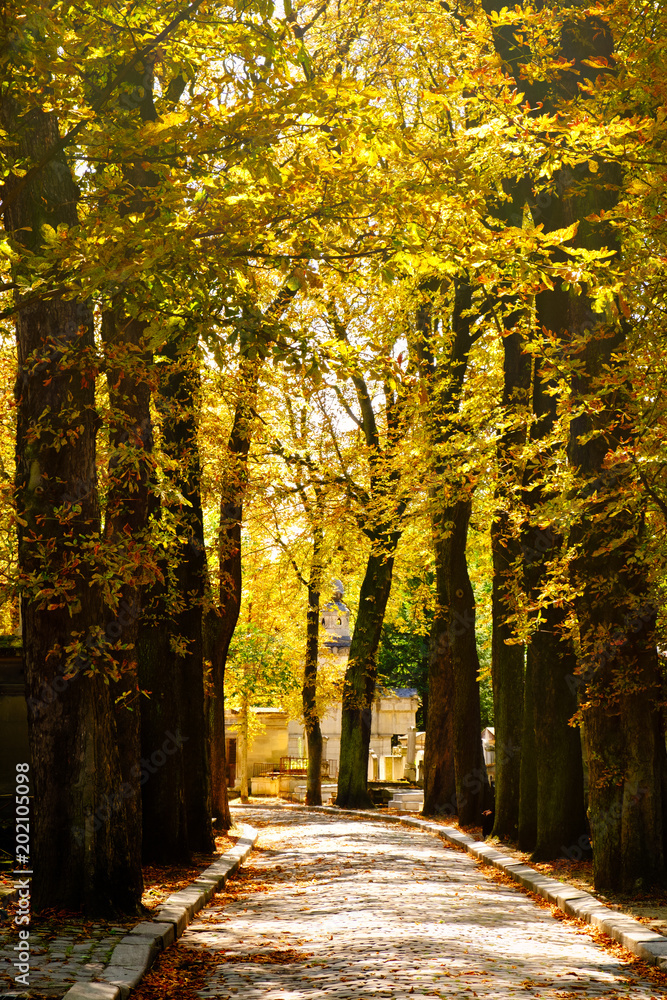 The Pere Lachaise Cemetery in Paris