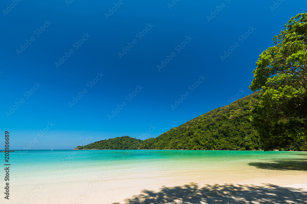 Obraz premium Beautiful the exotic beach and very nice beach for relaxation, Located Surin Island, Thailand