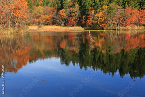 秋の二夜の池 Futayonoike Pond in autumn