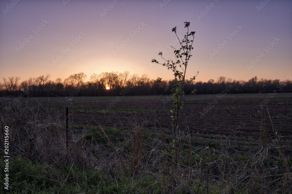 Obraz premium Last Light