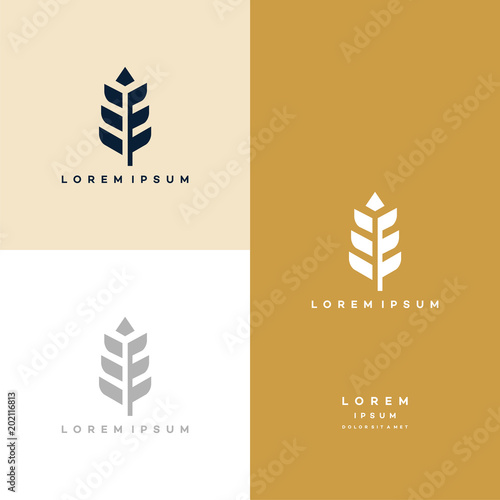 Luxury Grain wheat logo concept, Agriculture wheat Logo Template vector icon