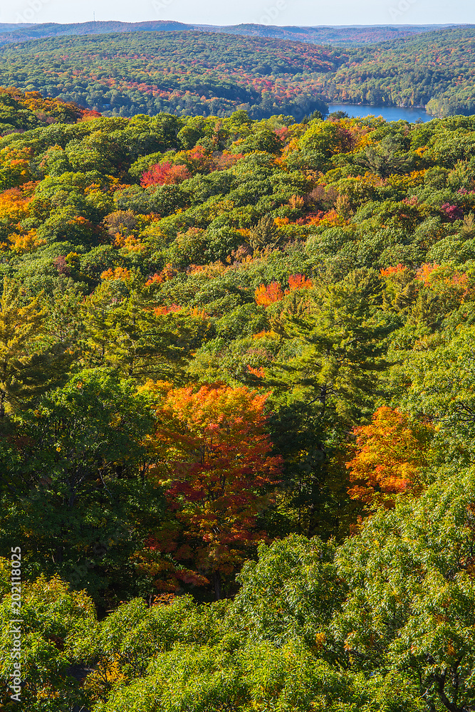 Autumn colors