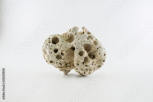 Stone, textured and shaped by erosion from a natural path on a w