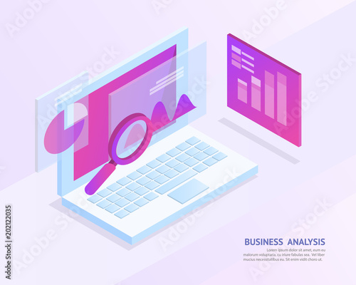 business analysis system, i...