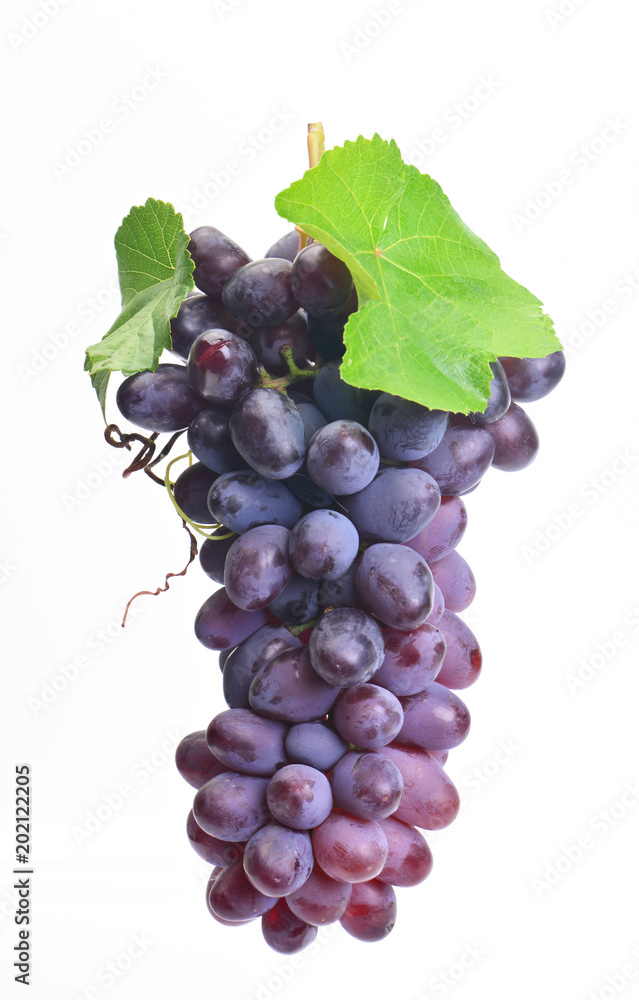 Fototapeta premium Grape fruit