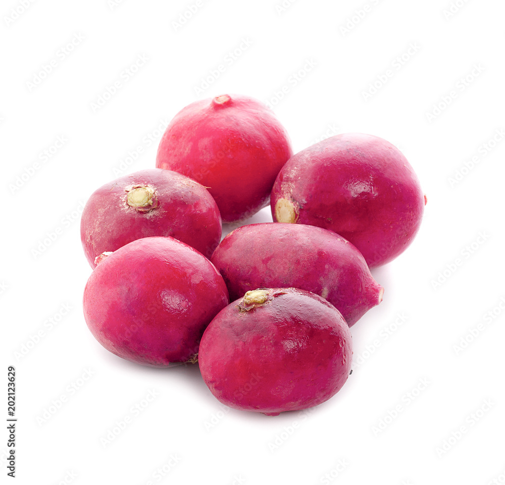 Small garden radish isolated on white background cutout Small garden radish isolated on white background cutout