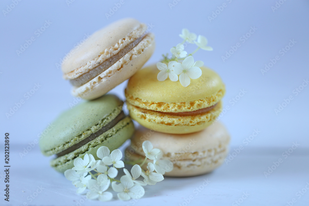 Obraz premium Macaron cake set. Macarons in pastel colors on a gentle blue background.delicious dessert