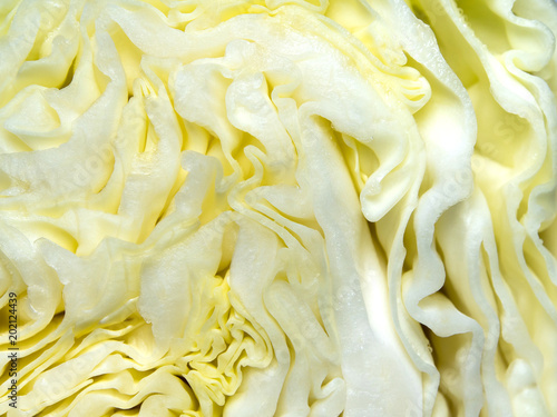 Close up to texture of inside a Cabbage